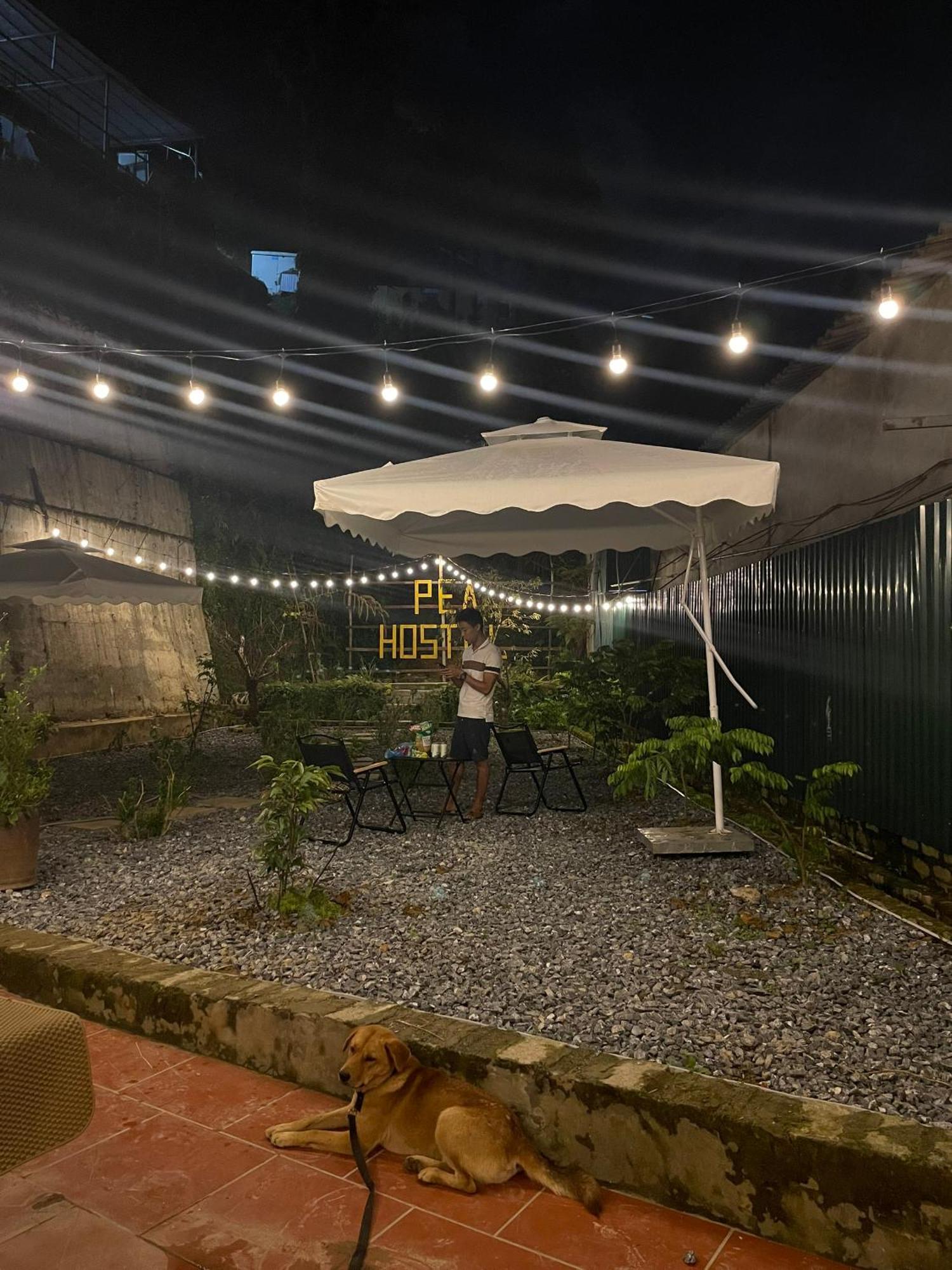 Pea Hostel Sapa Bagian luar foto